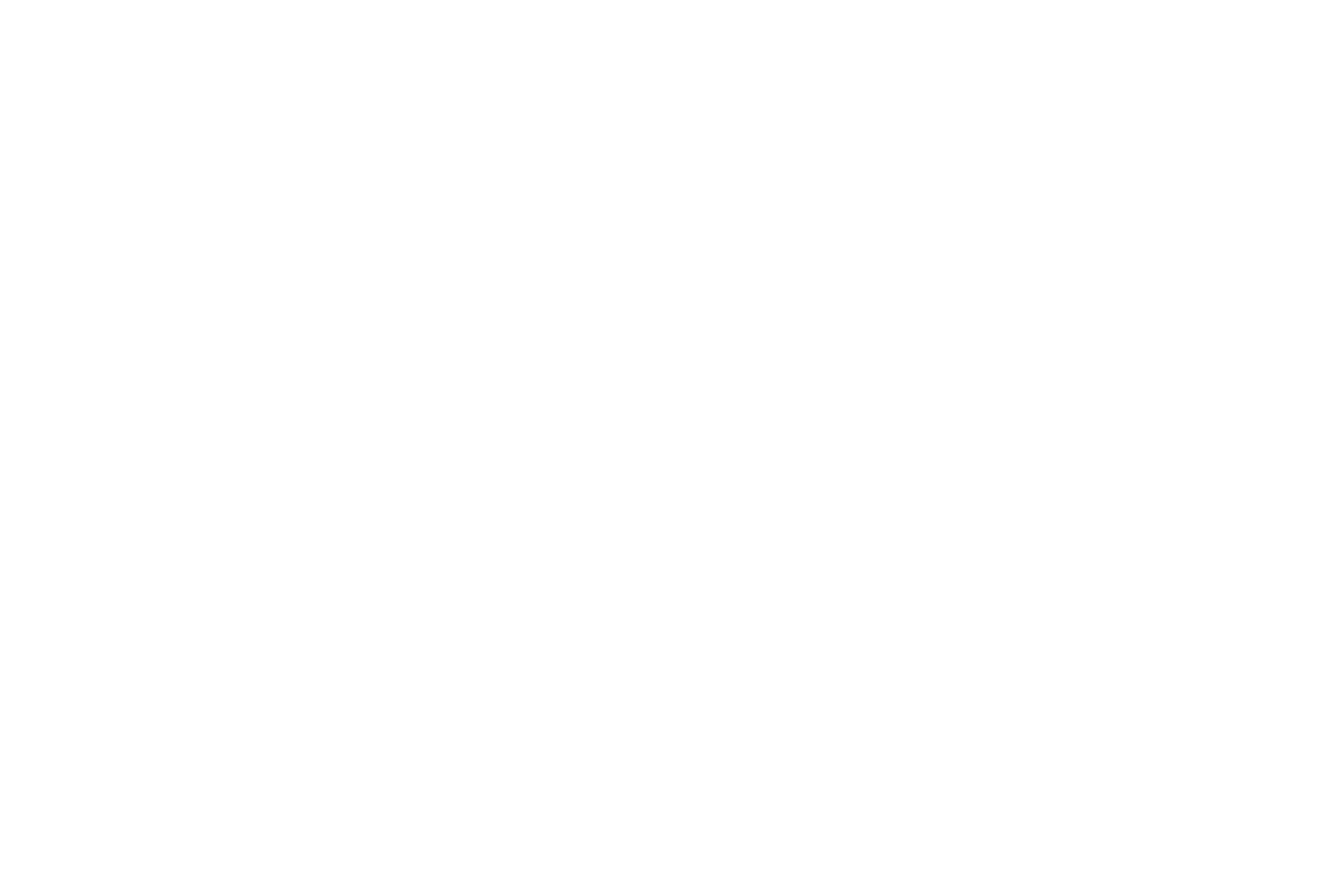 SRIONFLEEK